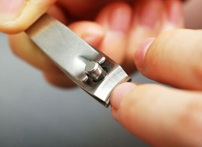 为什么剪指甲时不会感到疼-剪指甲为什么不疼？